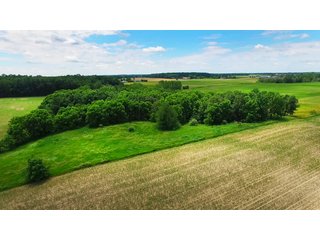 Property photo 10 - REAL ESTATE AUCTION - 26.61+/- ACRES IN NOBLE COUNTY, INDIANA